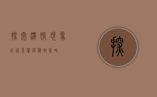 探究滞胀现象，成因、影响与应对策略