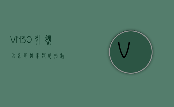 VN30，引领未来的越南股市指数