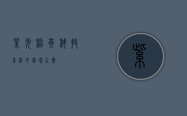 紫光，照亮科技前沿的璀璨之星
