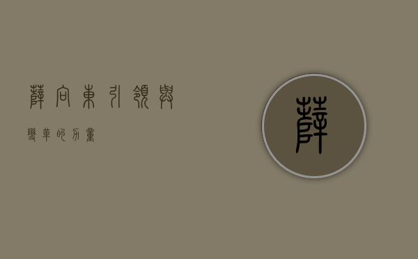 薛向东，引领与变革的力量