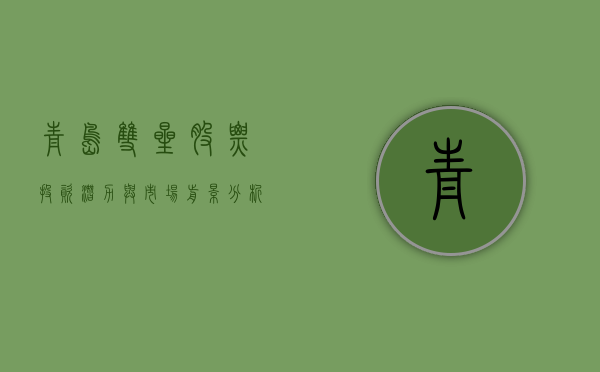 青岛双星股票，投资潜力与市场前景分析