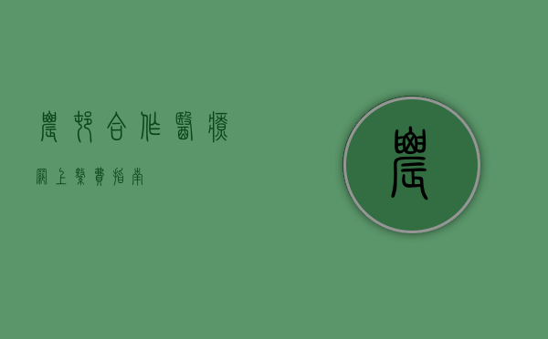 农村合作医疗网上缴费指南