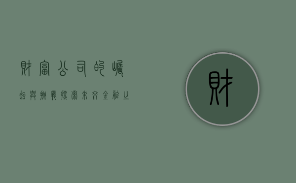 财富公司的崛起与挑战，探索未来金融之路