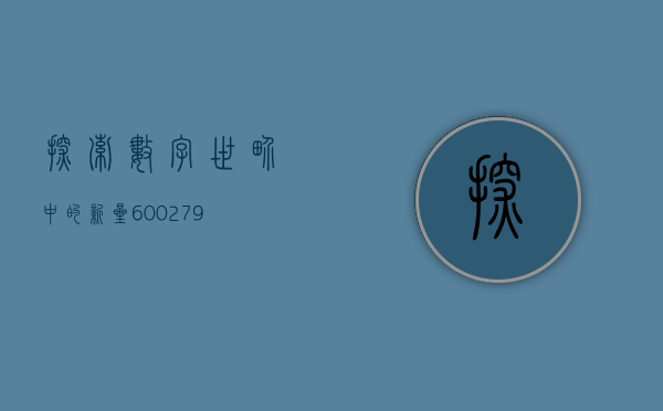 探索数字世界中的新星—600768