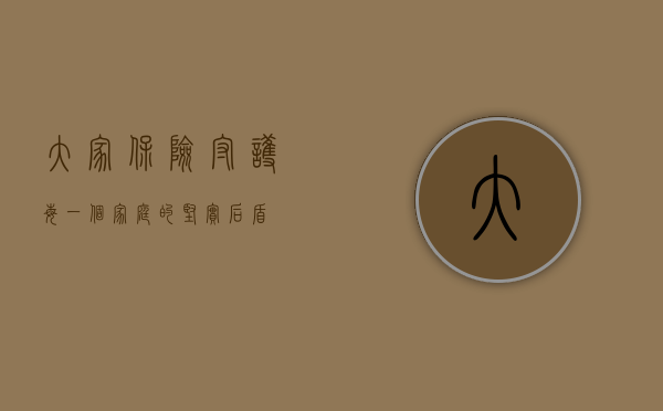 大家保险，守护每一个家庭的坚实后盾