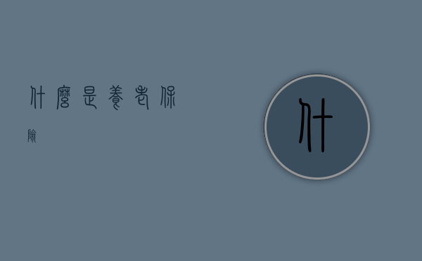 什么是养老保险