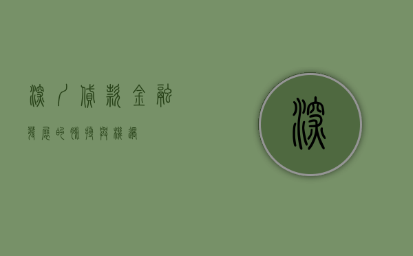 深圳贷款，金融发展的脉搏与机遇