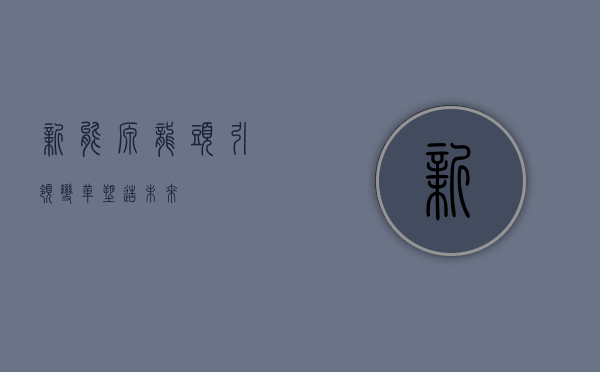 新能源龙头，引领变革，塑造未来