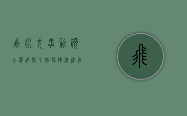 飞机失事赔偿金额详解，了解赔偿标准与影响因素