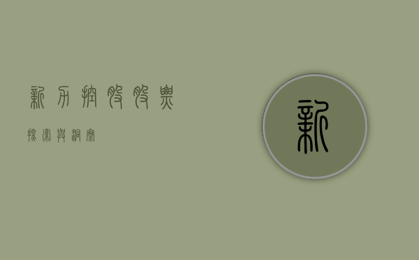 新力控股股票，探索与洞察