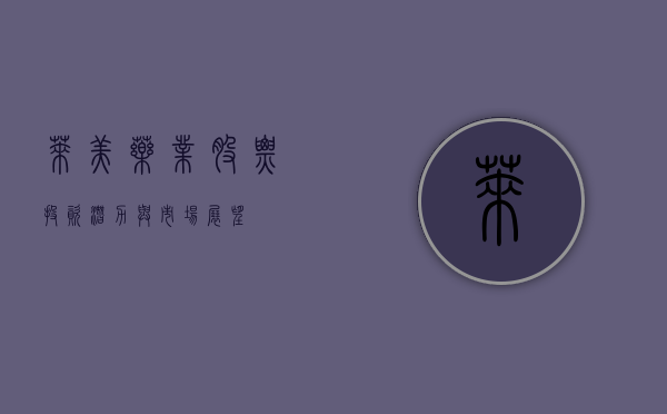 莱美药业股票，投资潜力与市场展望