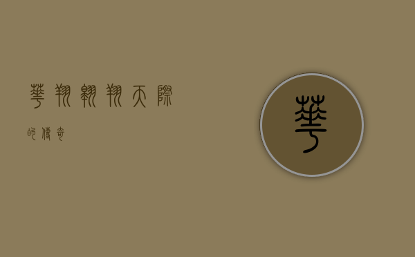 华翔，翱翔天际的传奇