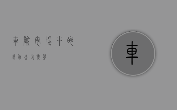 车险市场中的保险公司概览