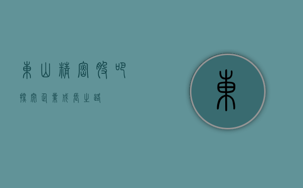 东山精密股吧，探究企业成长之路