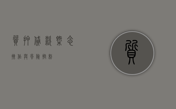 质押贷款，概念、操作与风险控制