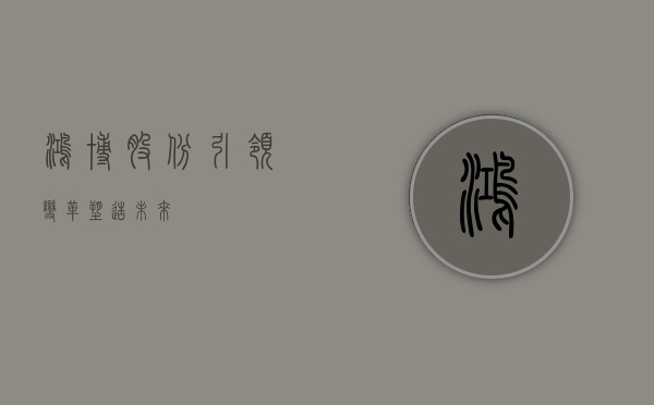 鸿博股份，引领变革，塑造未来