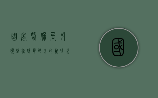 国家医保局,引领医疗保障体系的新时代变革