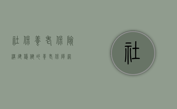 社保养老保险，构建稳健的养老保障网