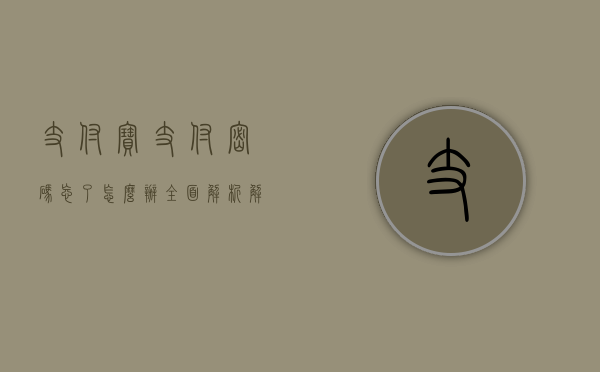 支付宝支付密码忘了怎么办？全面解析解决方案