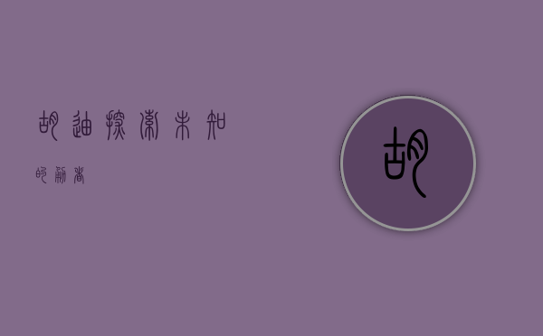 胡迪，探索未知的勇者