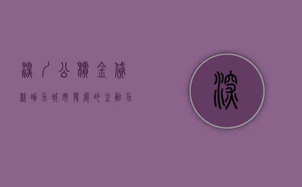 深圳公积金贷款，助力城市发展的金融力量