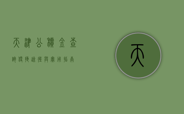 天津公积金查询，便捷途径与实用指南