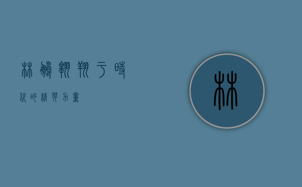林鹏，翱翔于时代的精英力量