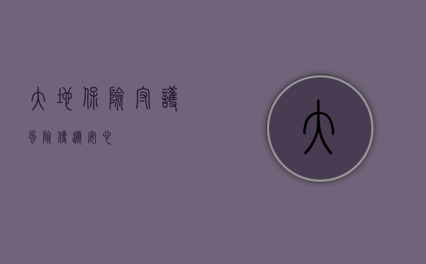 大地保险，守护风险，传递安心