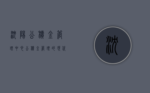沈阳公积金管理中心，公积金管理的现代化之路