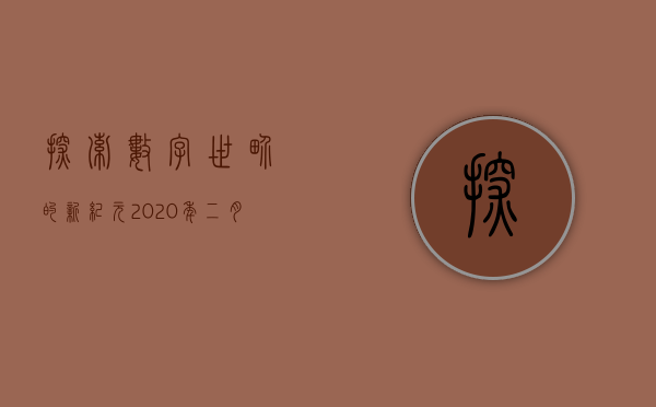 探索数字世界的新纪元，2020年二月之奇迹
