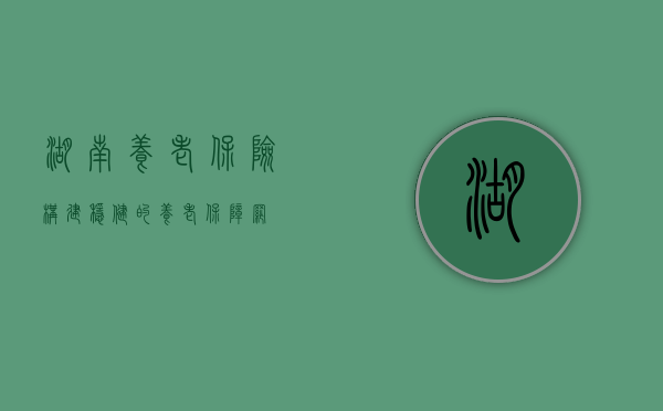 湖南养老保险，构建稳健的养老保障网