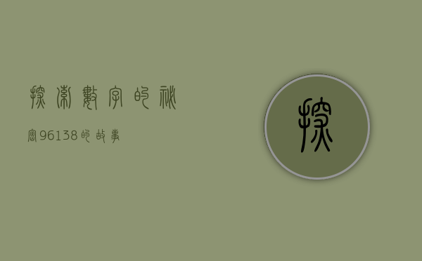 探索数字的秘密，96138的故事