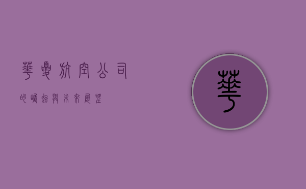 华夏航空公司的崛起与未来展望