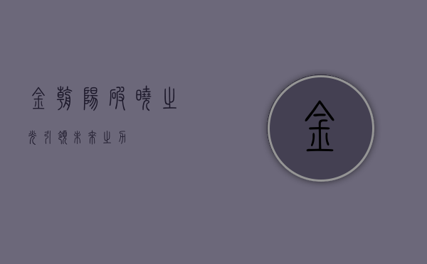 金朝阳，破晓之光，引领未来之力