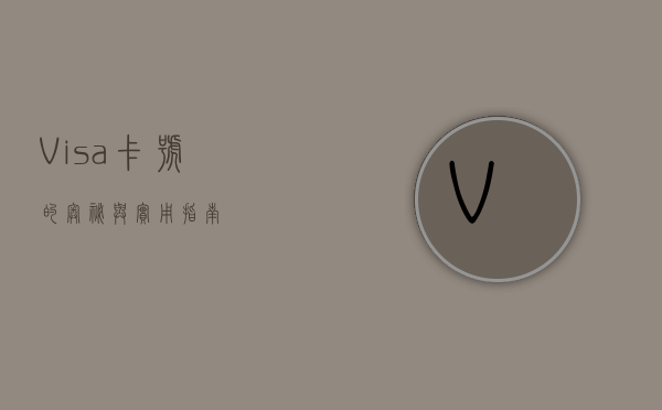Visa卡号的奥秘与实用指南
