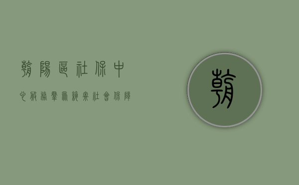 朝阳区社保中心，服务群众，筑牢社会保障之基