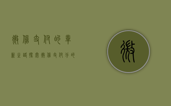 微信支付的革新之路，探究微信支付分的应用与前景