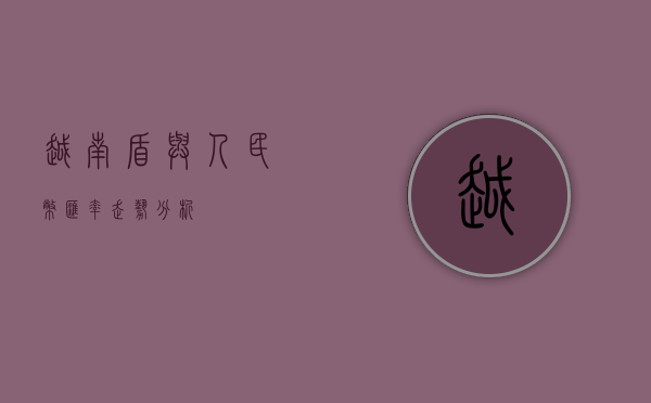 越南盾与人民币汇率走势分析