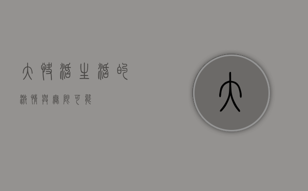 大快活，生活的激情与无限可能