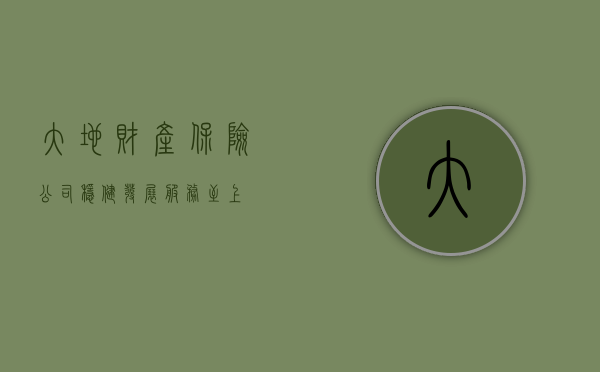 大地财产保险公司，稳健发展，服务至上