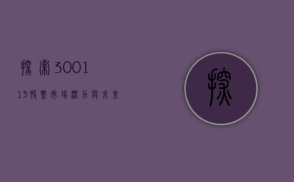 探索300113股票，市场潜力与未来展望