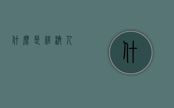 什么是经济人？