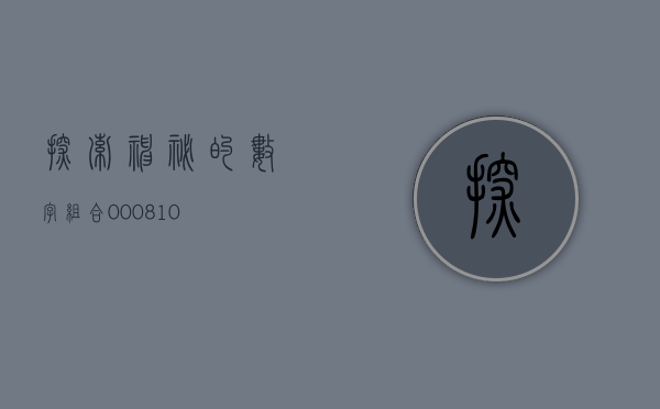 探索神秘的数字组合，000815