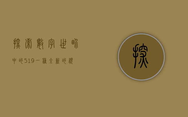 探索数字世界中的519—一种全新的视角与体验