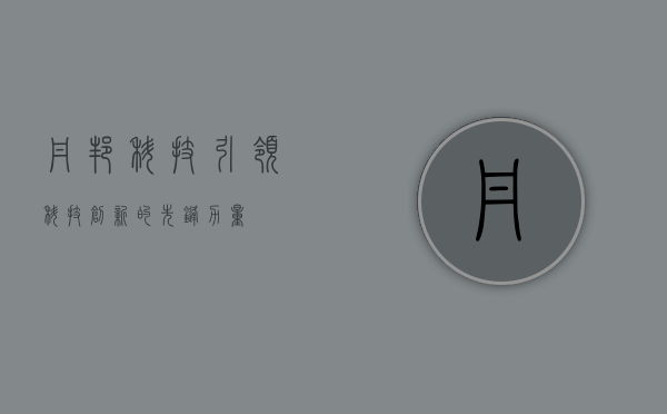 丹邦科技，引领科技创新的先锋力量