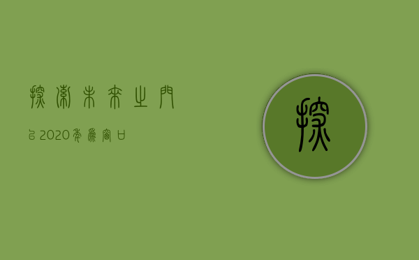 探索未来之门，以2020年为窗口