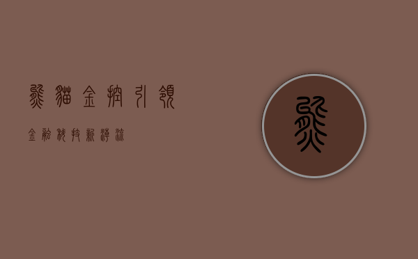 熊猫金控,引领金融科技新潮流