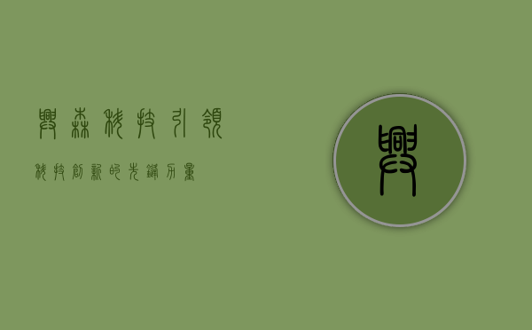 兴森科技，引领科技创新的先锋力量