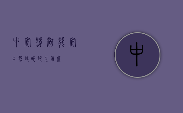 中安消，智能安全领域的领先力量