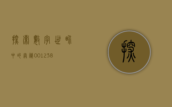 探索数字世界中的奥秘，001239